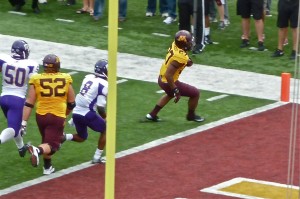 David Cobb swept left end for a clinching touchdown in the Gophers 29-12 victory.