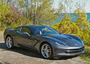 Chevrolet Stingray voted 2014 North American Car of the Year.