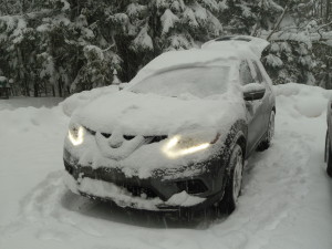 The snow piled on, but the Rogue fought through.