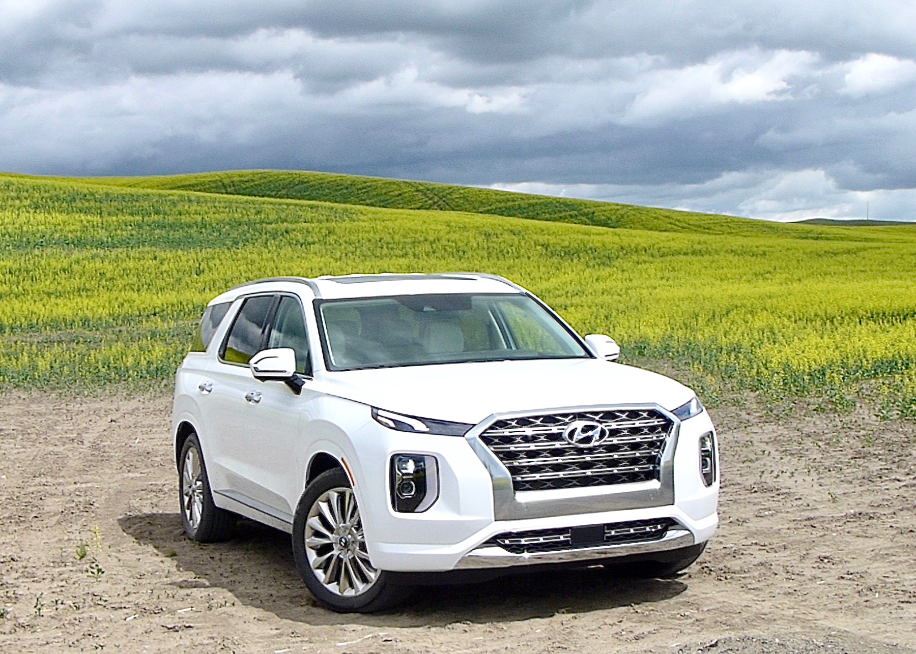 The 2020 Hyundai Palisade Limited AWD nestled into fields of Idaho Mountain flowers.